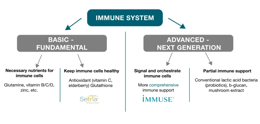 Immune System Chart