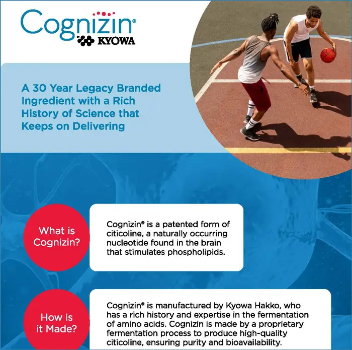 Cognizin Infographic