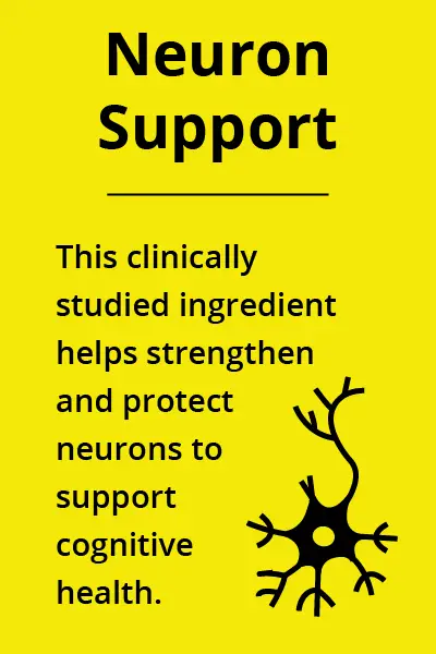 Neuron Support